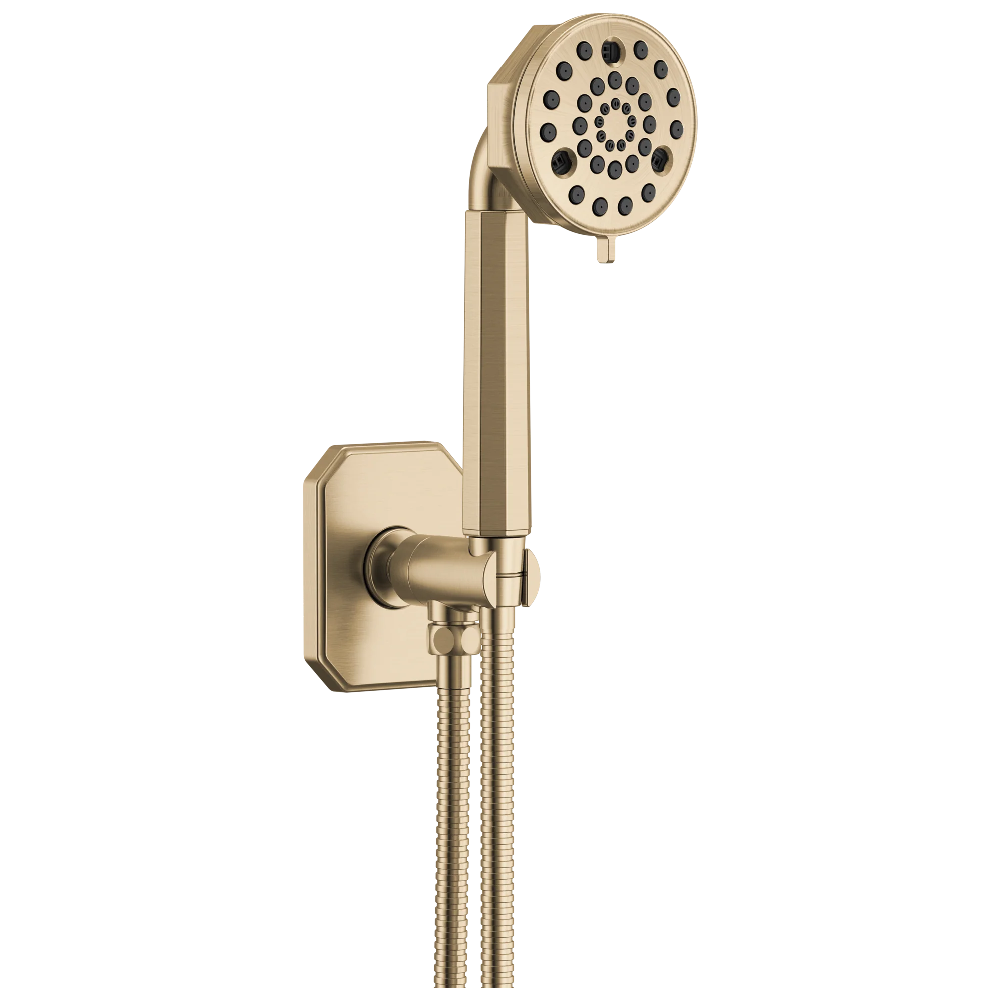Brizo Beauclere 88865 Multi-Function Wall Mount Hand Shower - Image 2